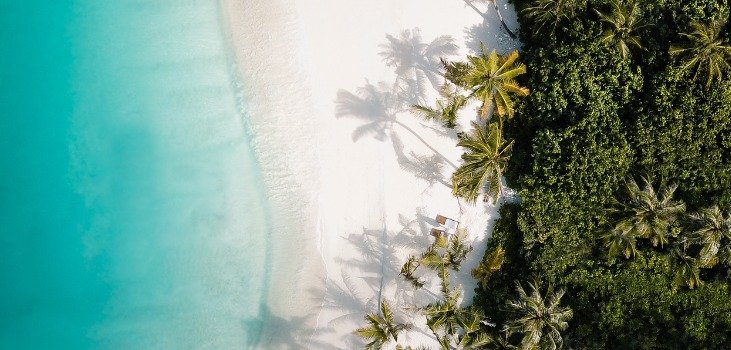 tropical-island-palm-tree-beach-from-above-picture-id1220728836